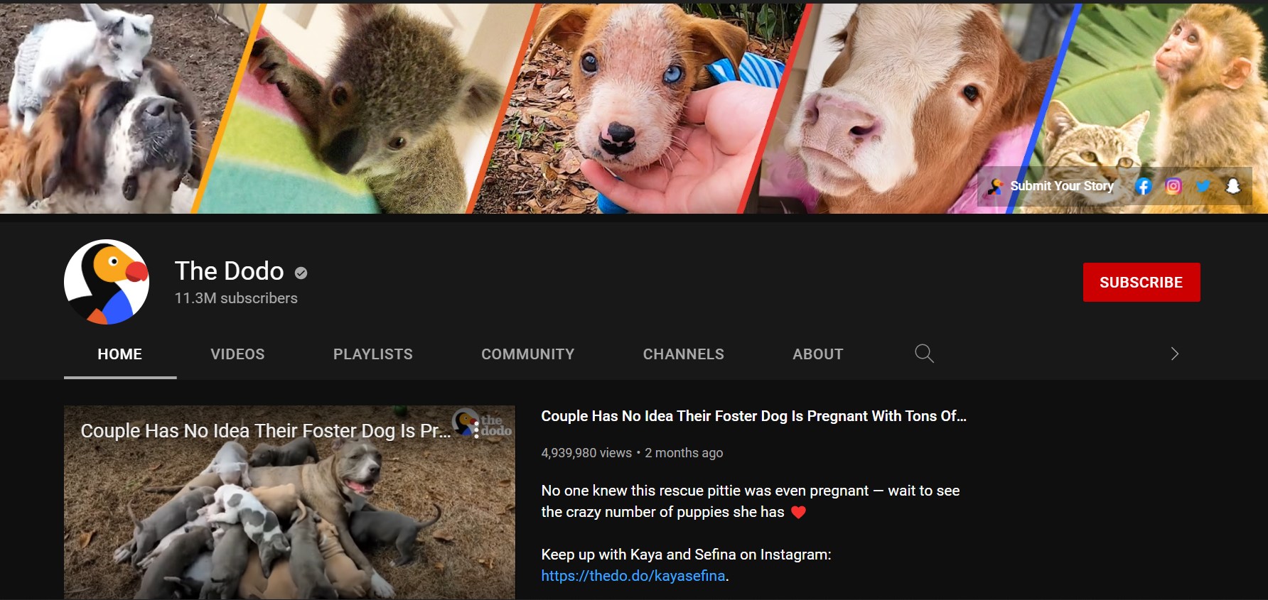 18 Best Youtube Channels to Watch in 2023 OFFEO